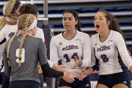 2016 FAU Volleyball vs Drake celebration tea