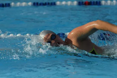 2017 FAU Swimming Photo Day