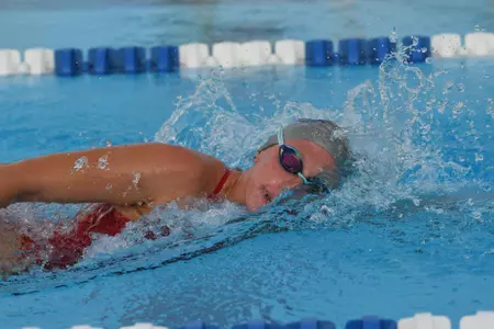 2017 FAU Men's & Women's Swimming Photo Day