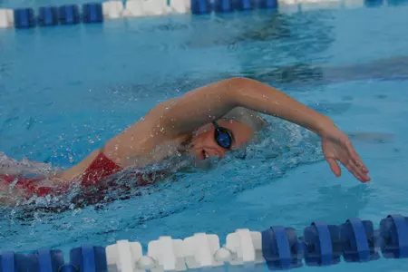 2017 FAU Men's & Women's Swimming Photo Day