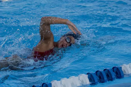 2019 FAU Swimming Photo Day