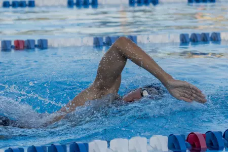 2019 FAU Swimming Photo Day