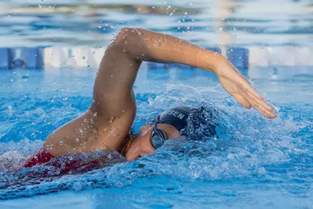 2019 FAU Swimming Photo Day