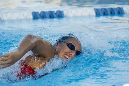 2019 FAU Swimming Photo Day