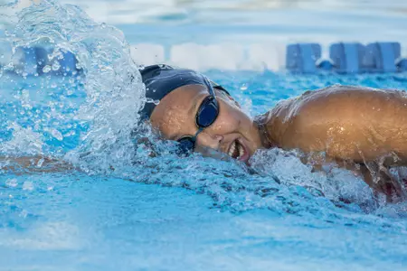 2019 FAU Swimming Photo Day