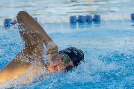 2019 FAU Swimming Photo Day