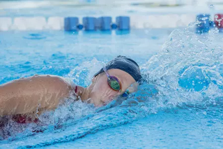 2019 FAU Swimming Photo Day