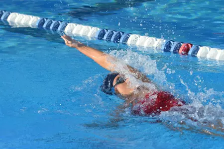 2019 FAU Swimming Photo Day