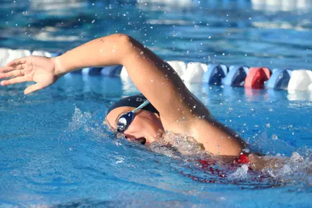 2019 FAU Swimming Photo Day