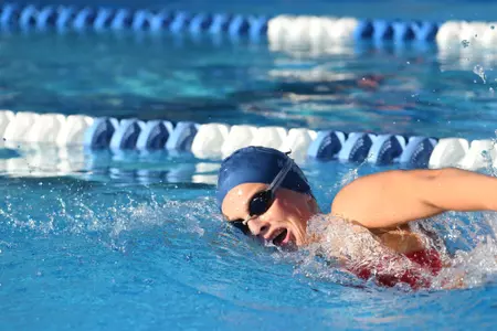 2019 FAU Swimming Photo Day