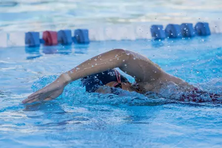 2019 FAU Swimming Photo Day
