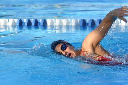 2019 FAU Swimming Photo Day