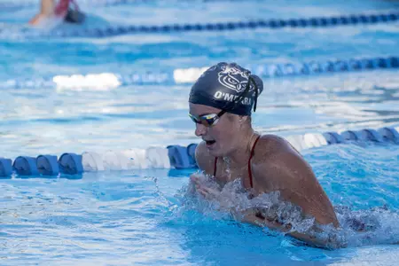 2019 FAU Swimming Photo Day
