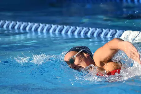 2019 FAU Swimming Photo Day