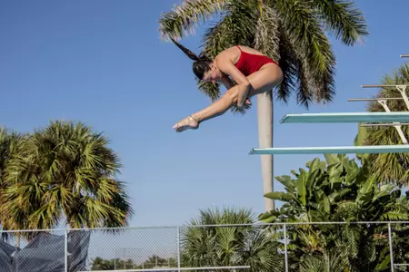 2019 FAU Swimming Photo Day
