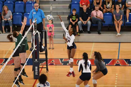 2017 FAU Women's Volleyball vs Stetson