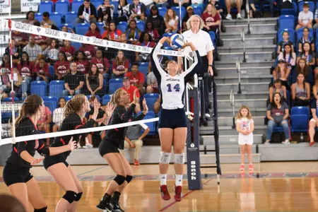 2017 FAU Volleyball vs Western Kentucky
