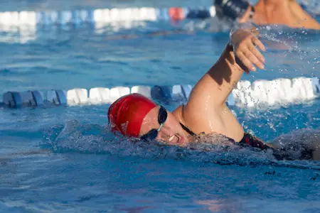 2019-20 FAU Swimming & Diving Photo Day