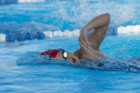 2019-20 FAU Swimming & Diving Photo Day