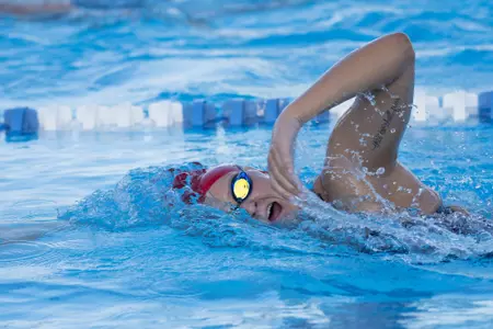 2019-20 FAU Swimming & Diving Photo Day