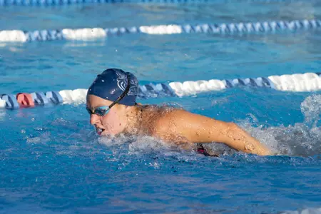 2019-20 FAU Swimming & Diving Photo Day