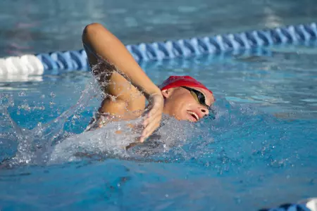 2019-20 FAU Swimming & Diving Photo Day