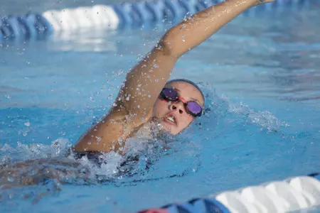 2019-20 FAU Swimming & Diving Photo Day