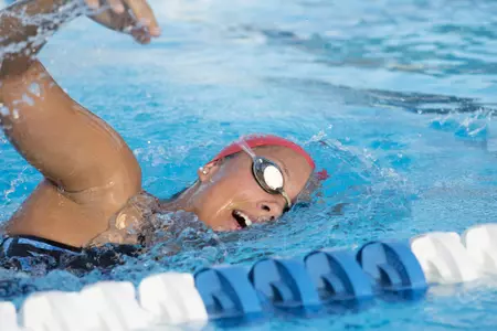 2019-20 FAU Swimming & Diving Photo Day