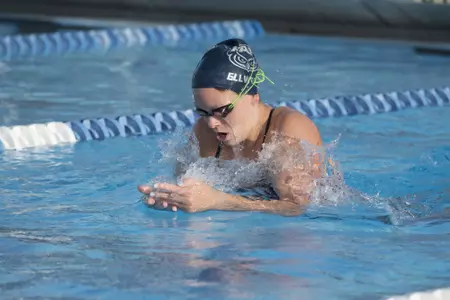 2019-20 FAU Swimming & Diving Photo Day