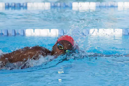 2019-20 FAU Swimming & Diving Photo Day