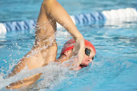 2019-20 FAU Swimming & Diving Photo Day