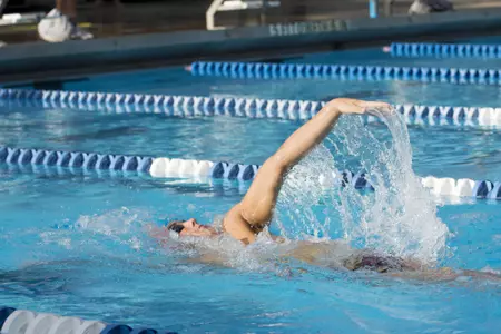 2019-20 FAU Swimming & Diving Photo Day