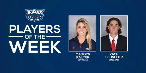 Palmer, Schneider SAOTW