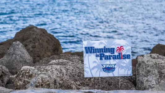 Paradise Pride Yard Sign