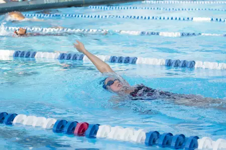 2019-20 FAU Swimming & Diving Photo Day