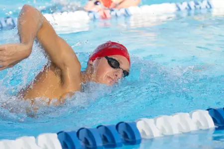 2019-20 FAU Swimming & Diving Photo Day