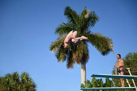 2021 FAU Swimming & Diving Photo Day