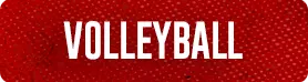 Volleyball NGWSD