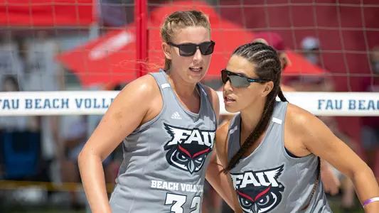 Dorish and Cangelosi