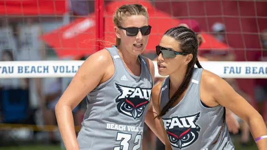 Dorish and Cangelosi