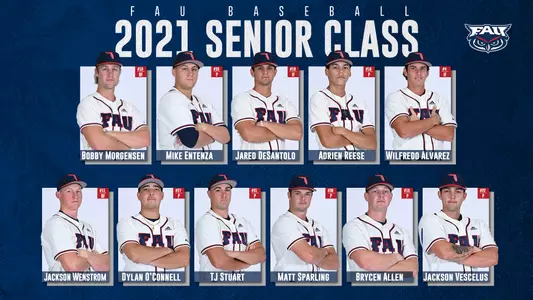 Baseball Seniors