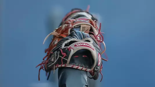 Gloves 2022