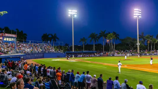 Baseball Stadium First Base Line