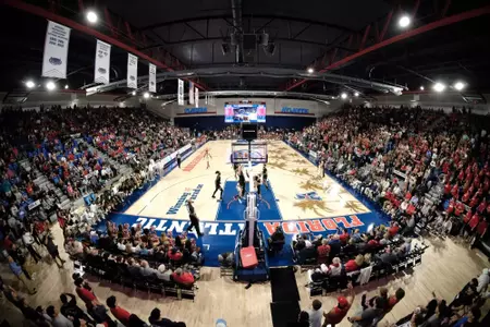 23-24 Arena Fan Shot