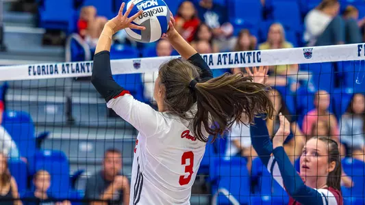 Noelle Stephens vs. FDU