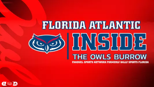 Inside the Owls Burrow