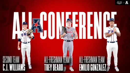 Baseball All-Conference