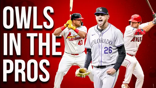Owls in the Pros Headers