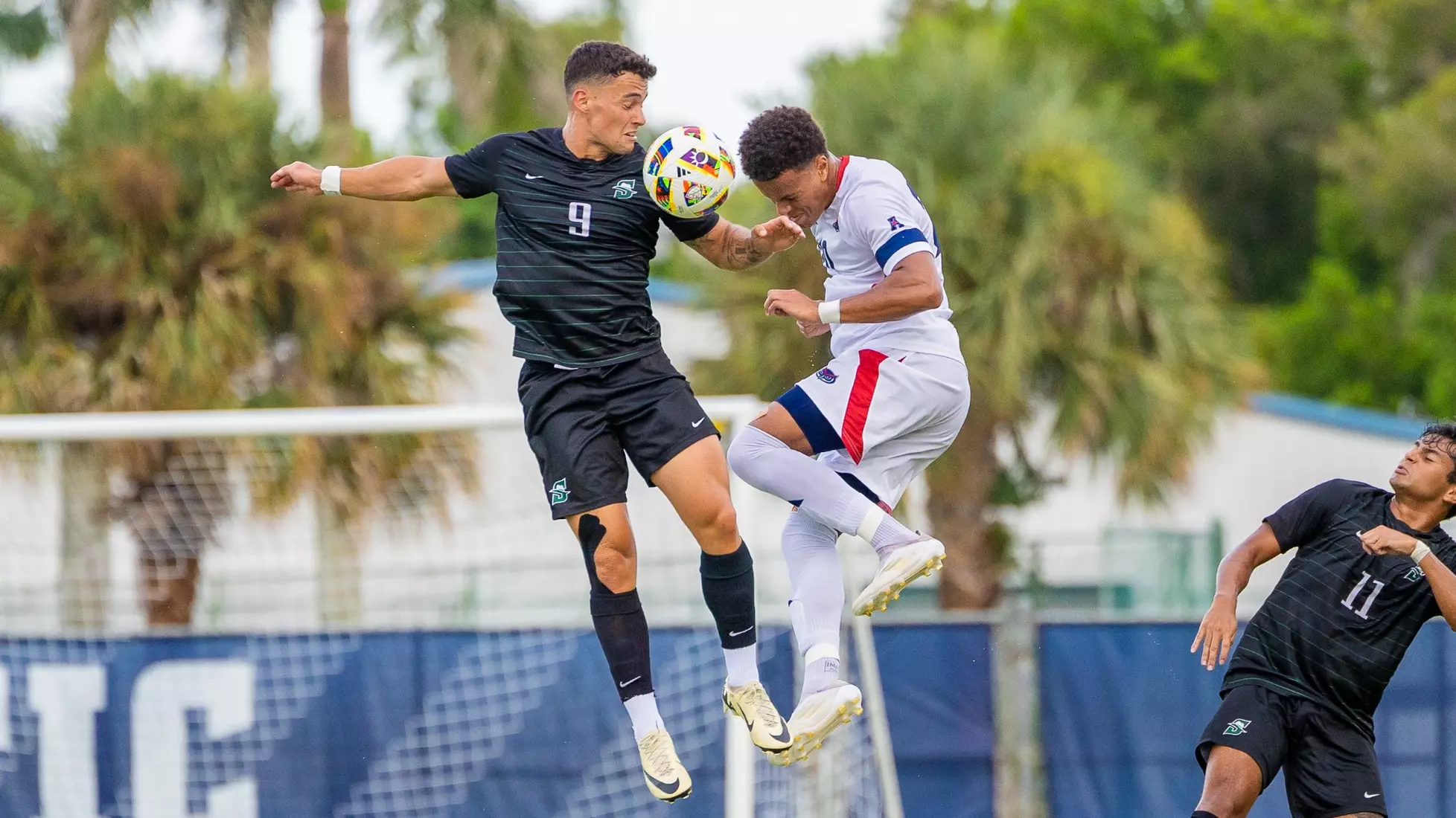 Florida Atlantic vs Stetson Univeristy