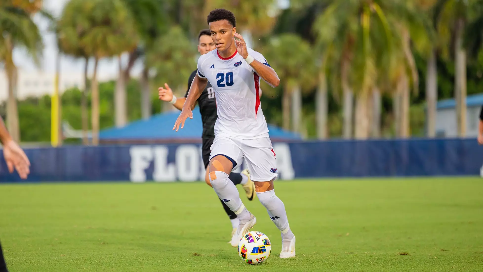Florida Atlantic vs Stetson Univeristy